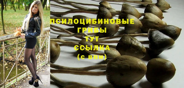 спиды Алексеевка