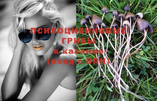 шишки Алзамай