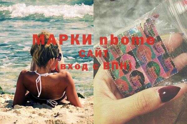 шишки Алзамай